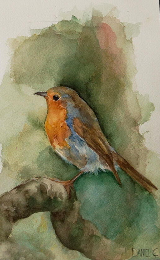 Robin